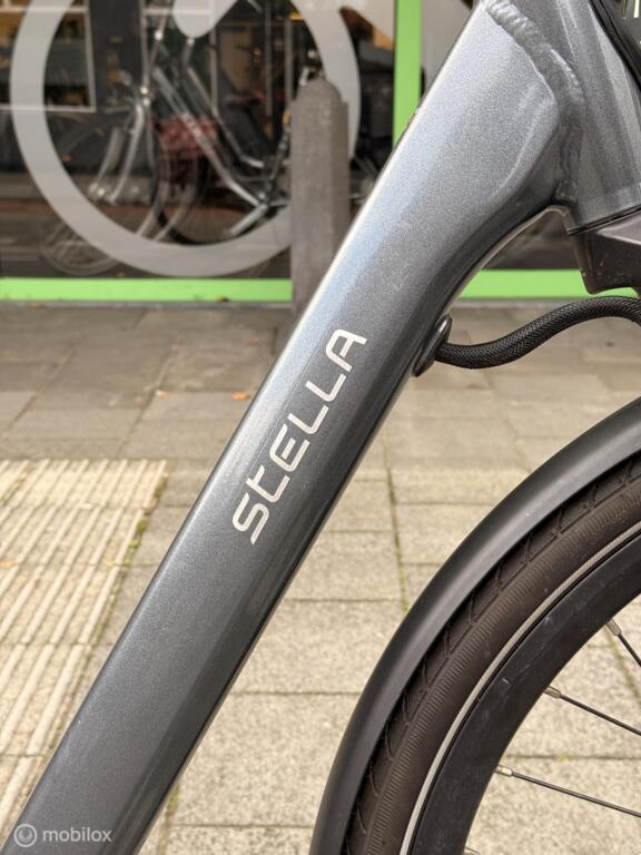 Stella Limited Edition image 4