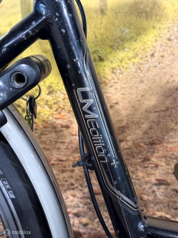 Trek LM Editon+ image 5
