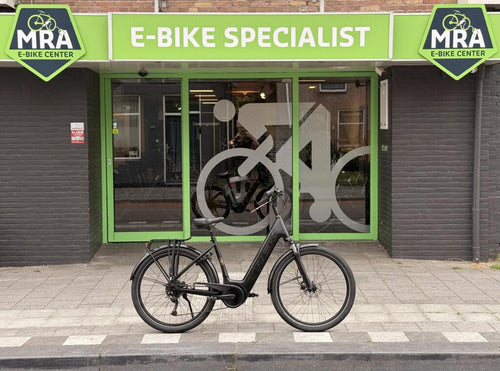 Trek Verve+ image 1