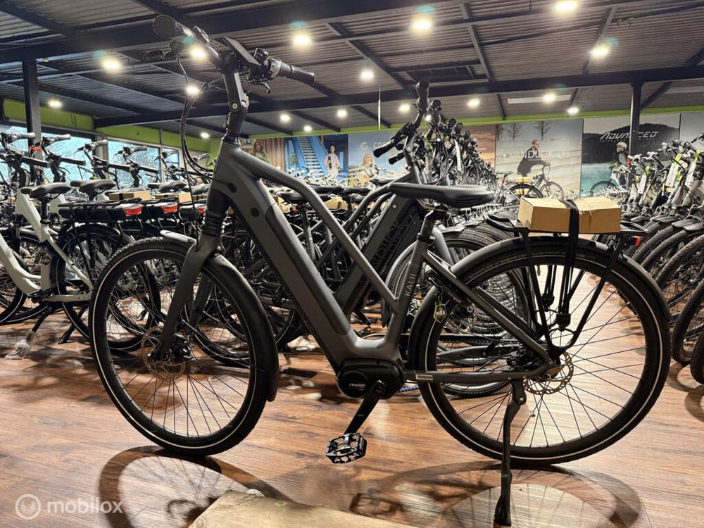 Van Dijck