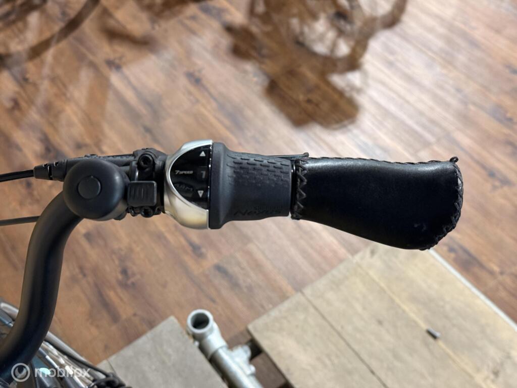 Van Dijck Ceres image 8