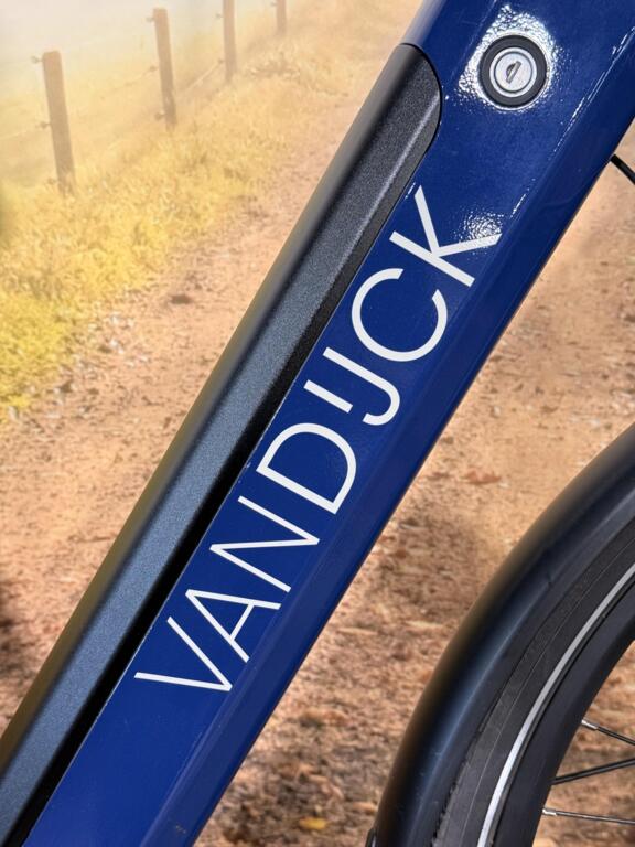 Van Dijck Ceto image 3
