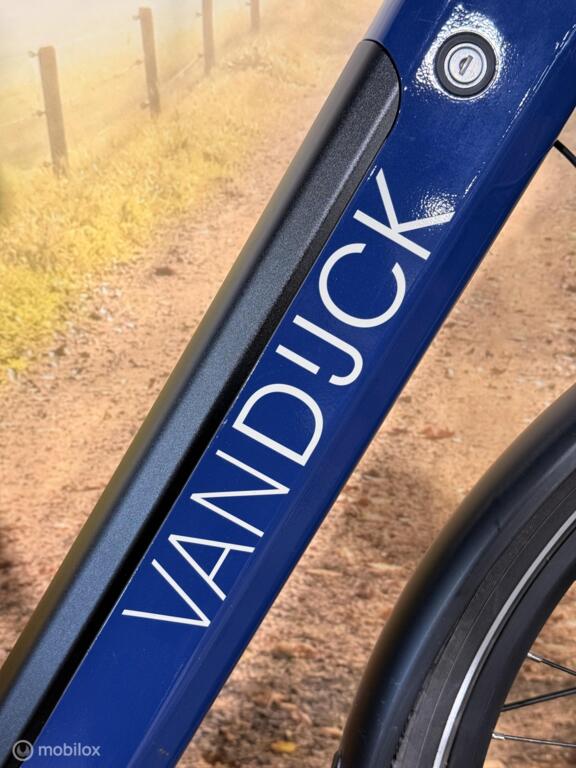 Van Dijck Ceto image 4