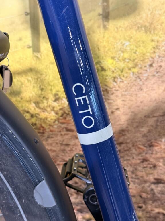 Van Dijck Ceto image 4