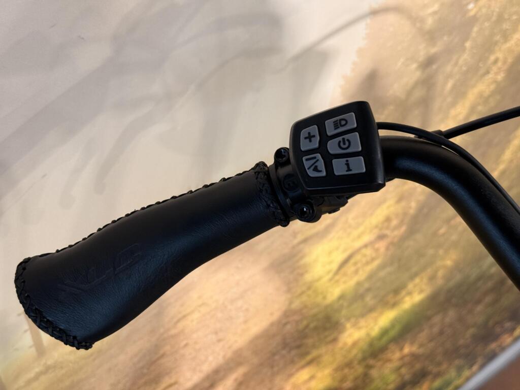 Van Dijck Freya image 5