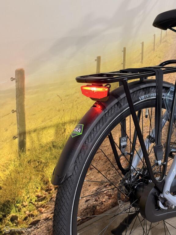 Van Dijck Triton image 8