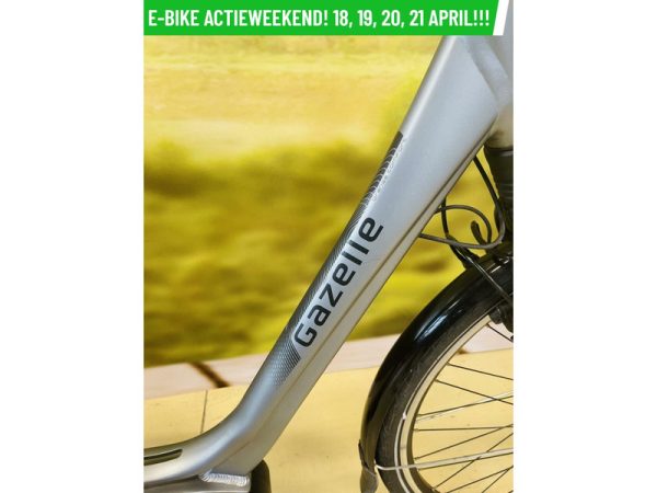 Gazelle - Afbeelding 2