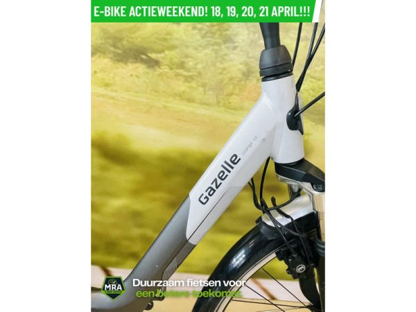 Gazelle - Afbeelding 2