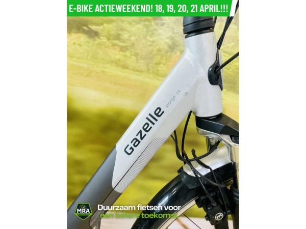 Gazelle - Afbeelding 3